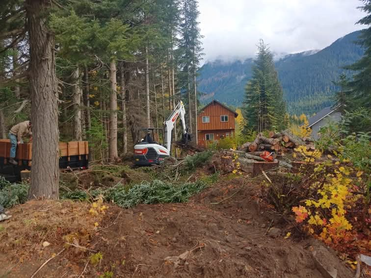 Tree service work in a forested mountain setting in Washington